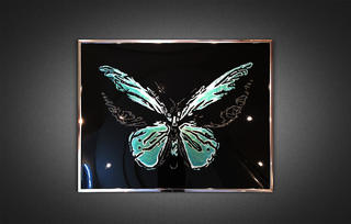 Lutea butterfly in turquoise